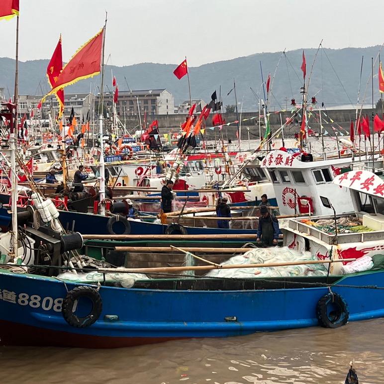 大海小网
