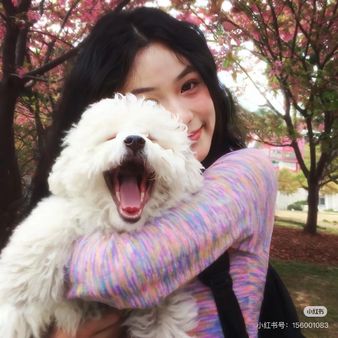 小小不吃香菜