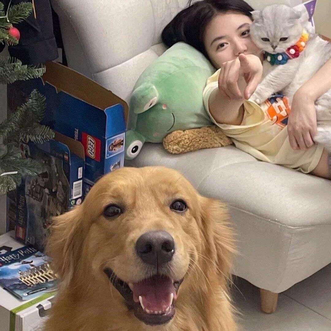 我睡觉的时候不困