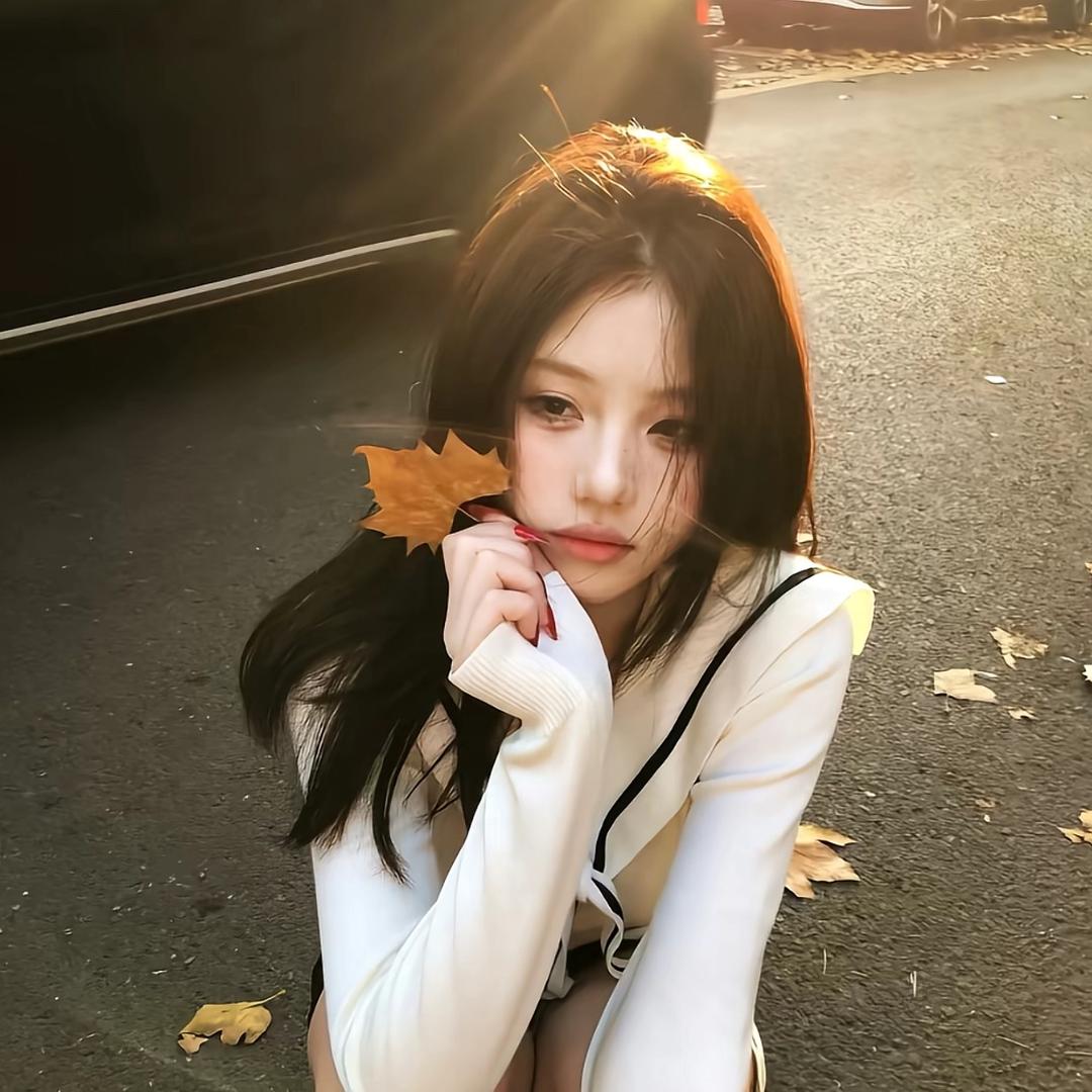 阳光橙🍊（养分版）