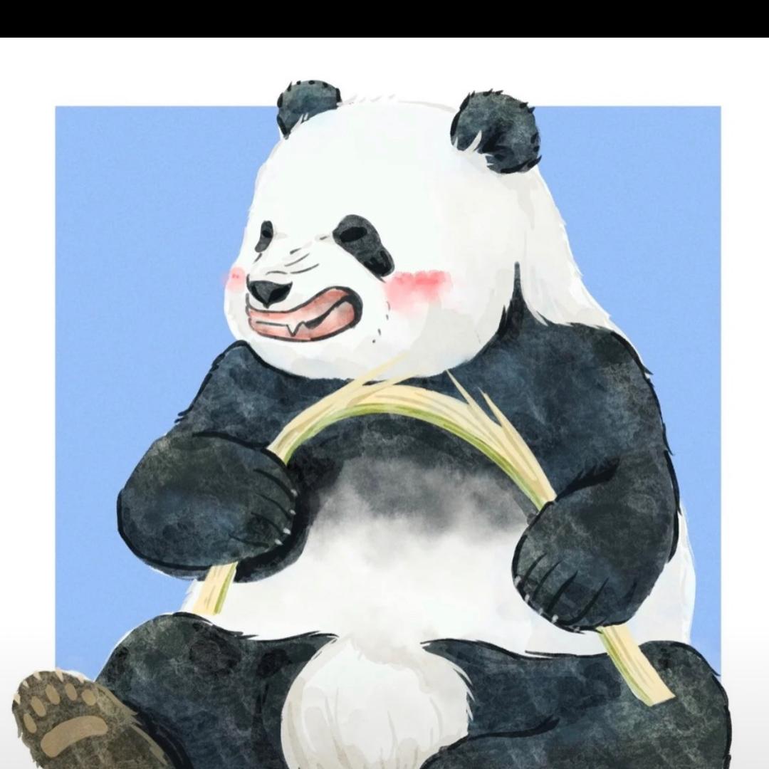熊猫小伙伴