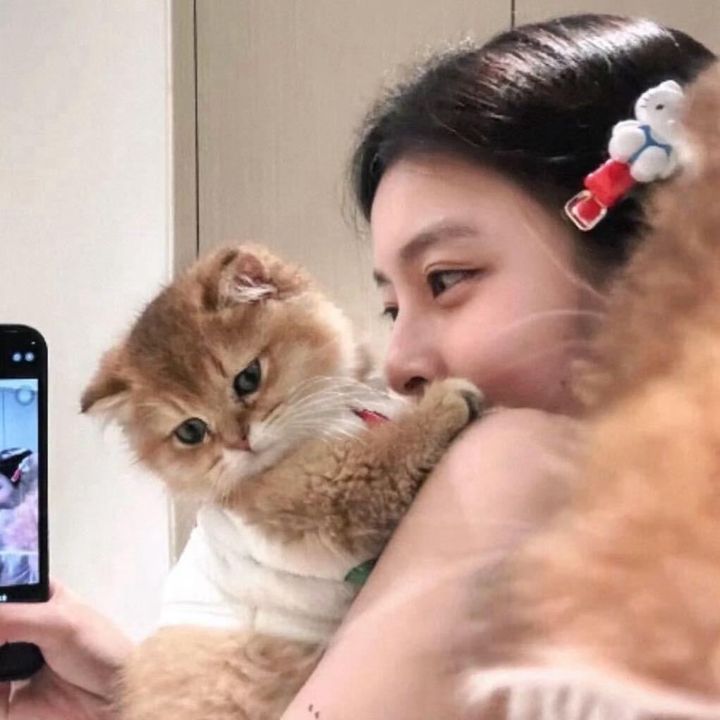 小小怪 🥳（原）