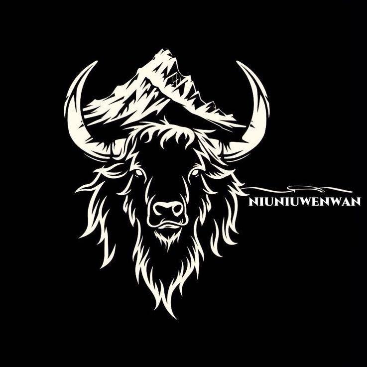 沈阳皇姑牛哥文玩甄选