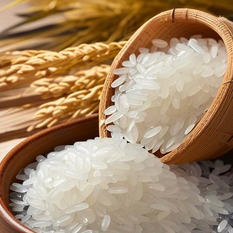 五常市大米粒粒香