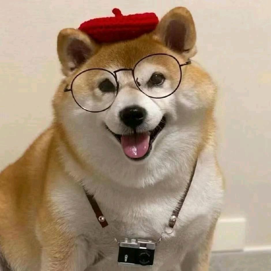 81609453989