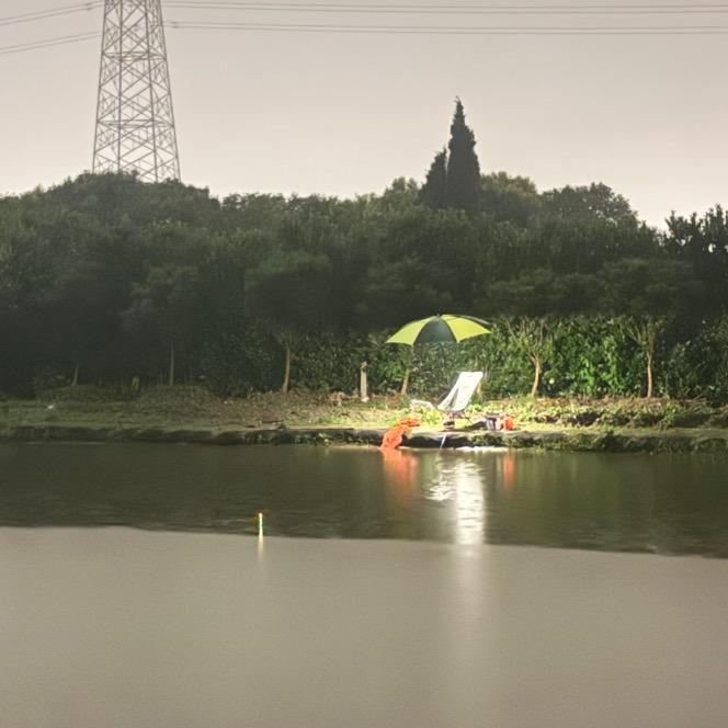 阿卵的钓鱼日记