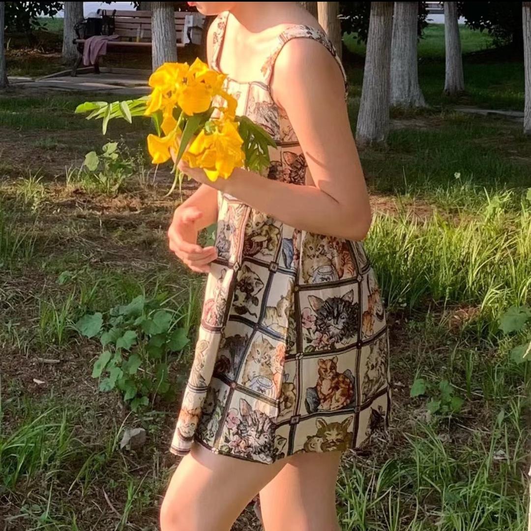 美驴同学
