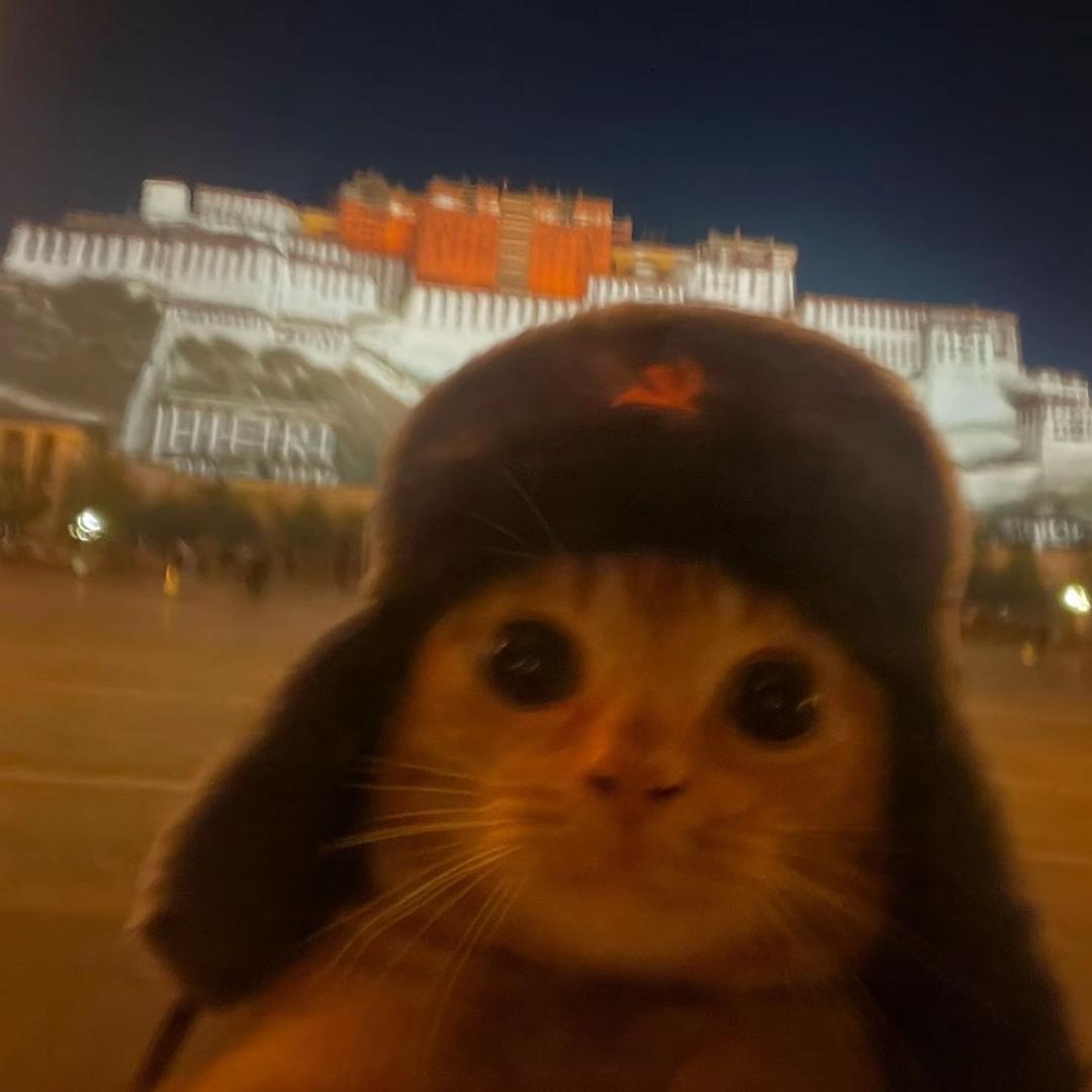 蜡笔小新