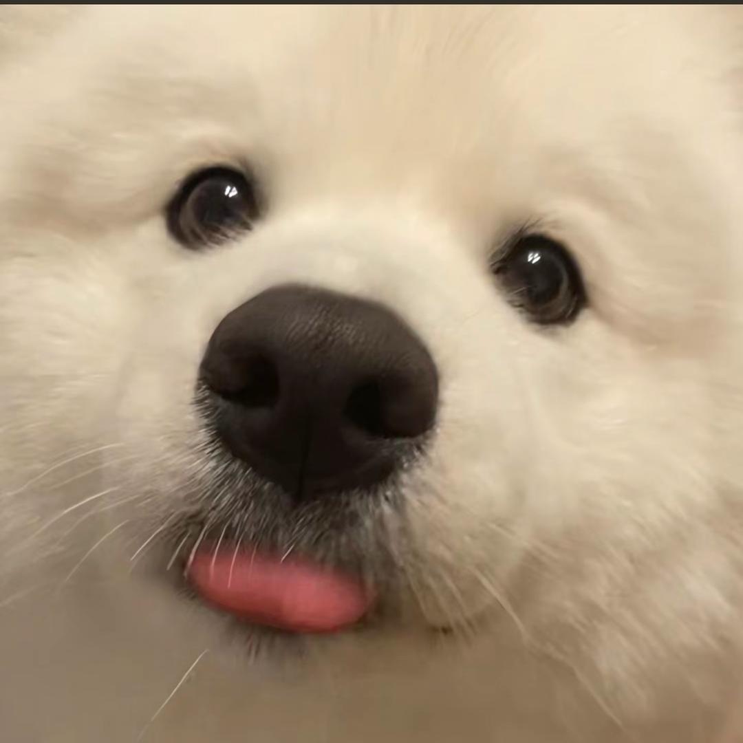 TT77