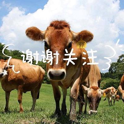 三代牛肉世家