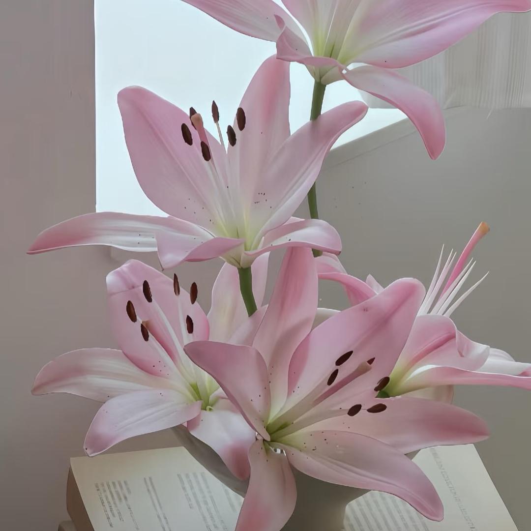 小熙熙🎀