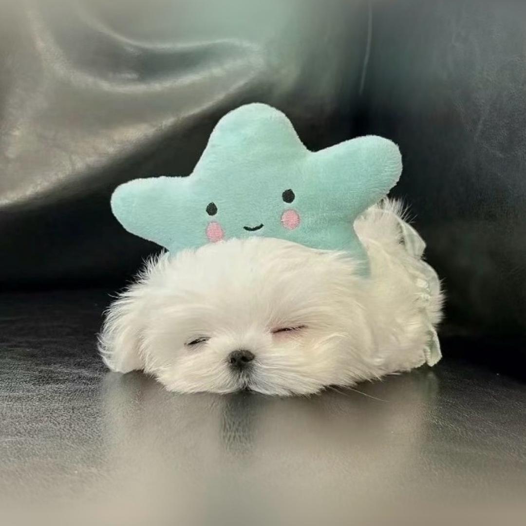 我靠我好帅