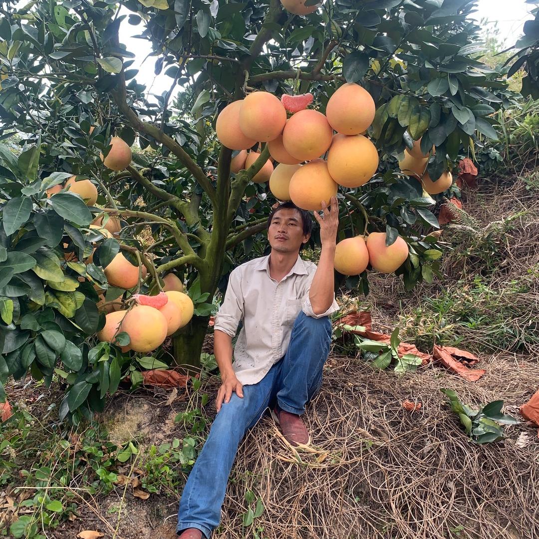 龙潭小哥