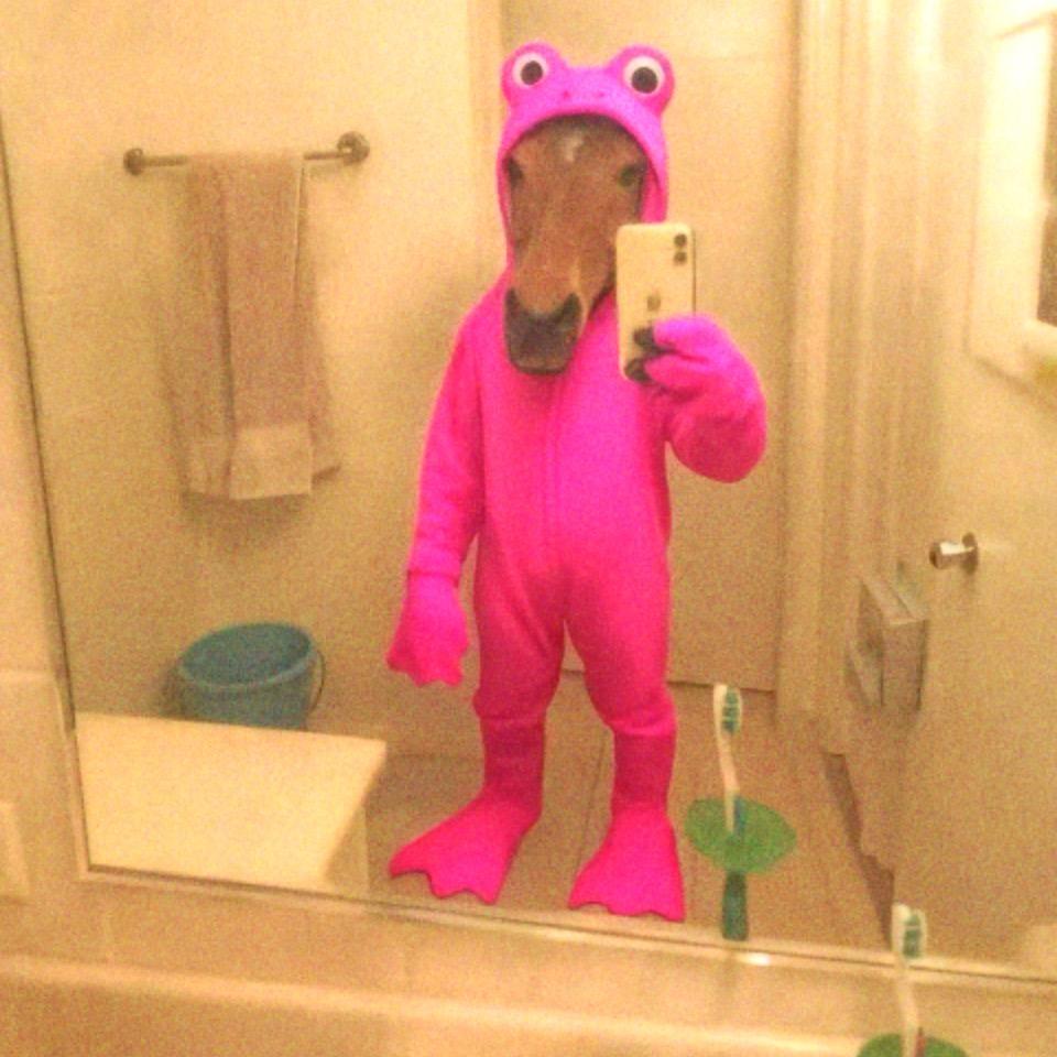 小葵（见过蔡徐坤版）