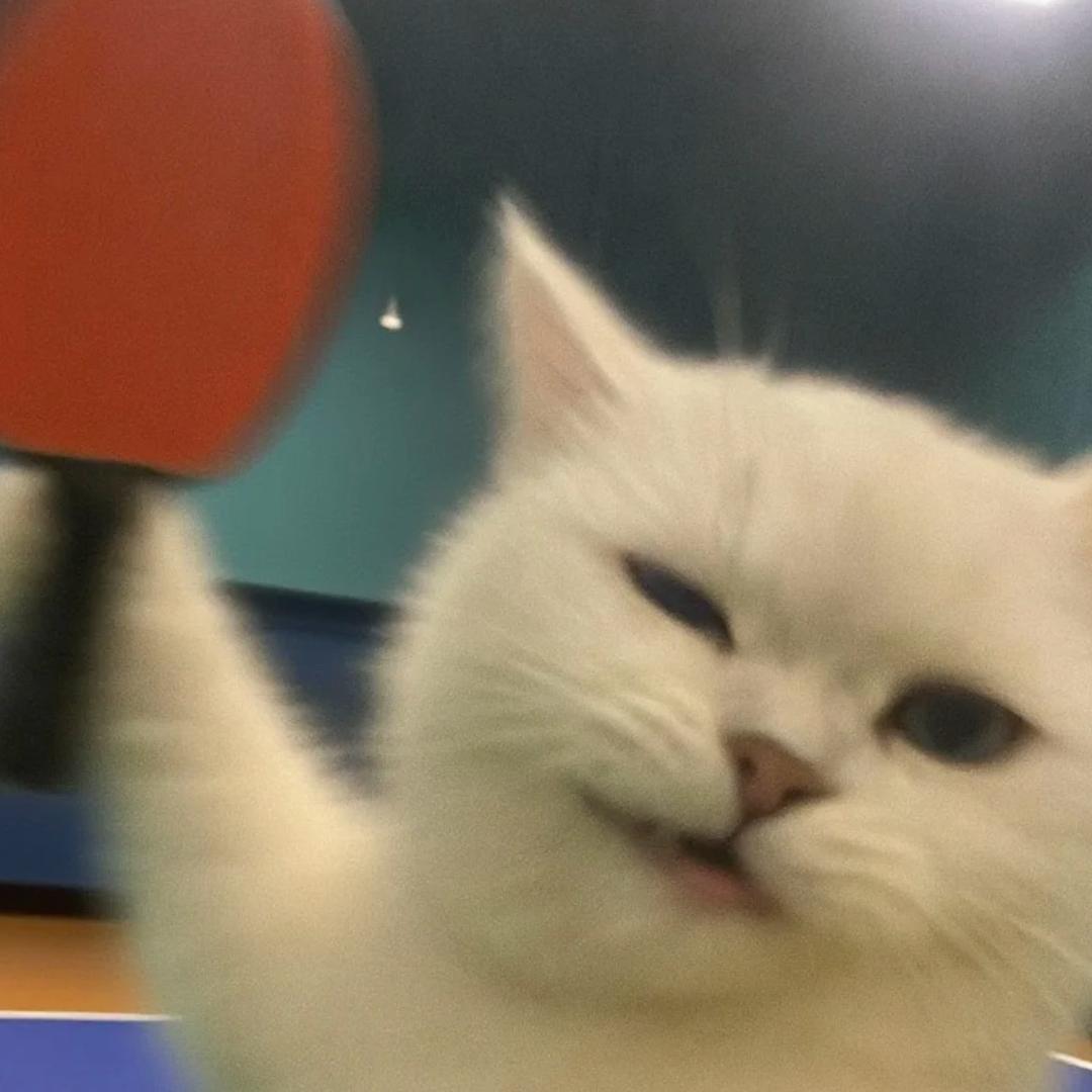 体坛乒乓🏓️