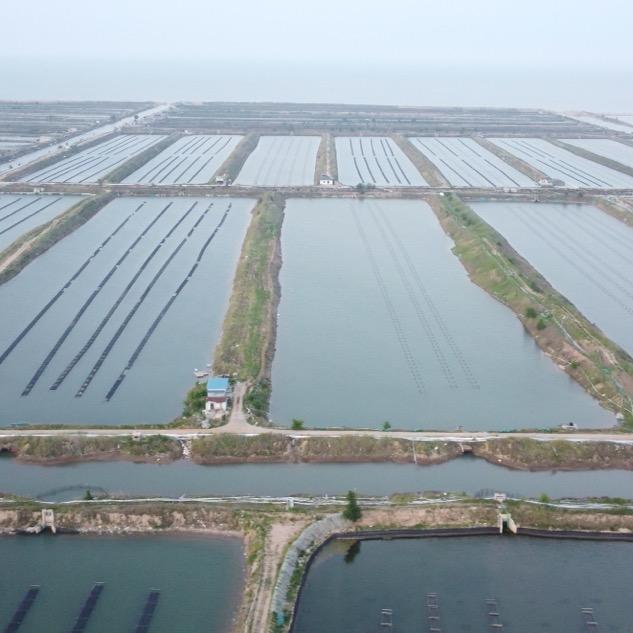鱼耀水产养殖企业店