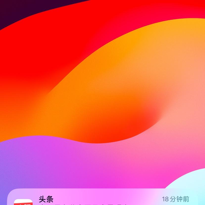臻选好物】