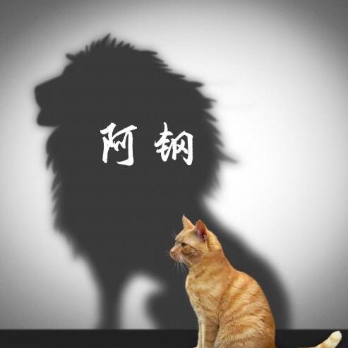 阿钢武汉麻将