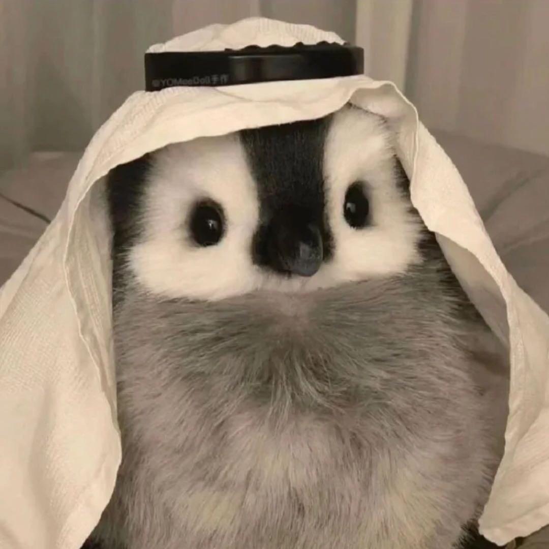哇啦啦啦啦