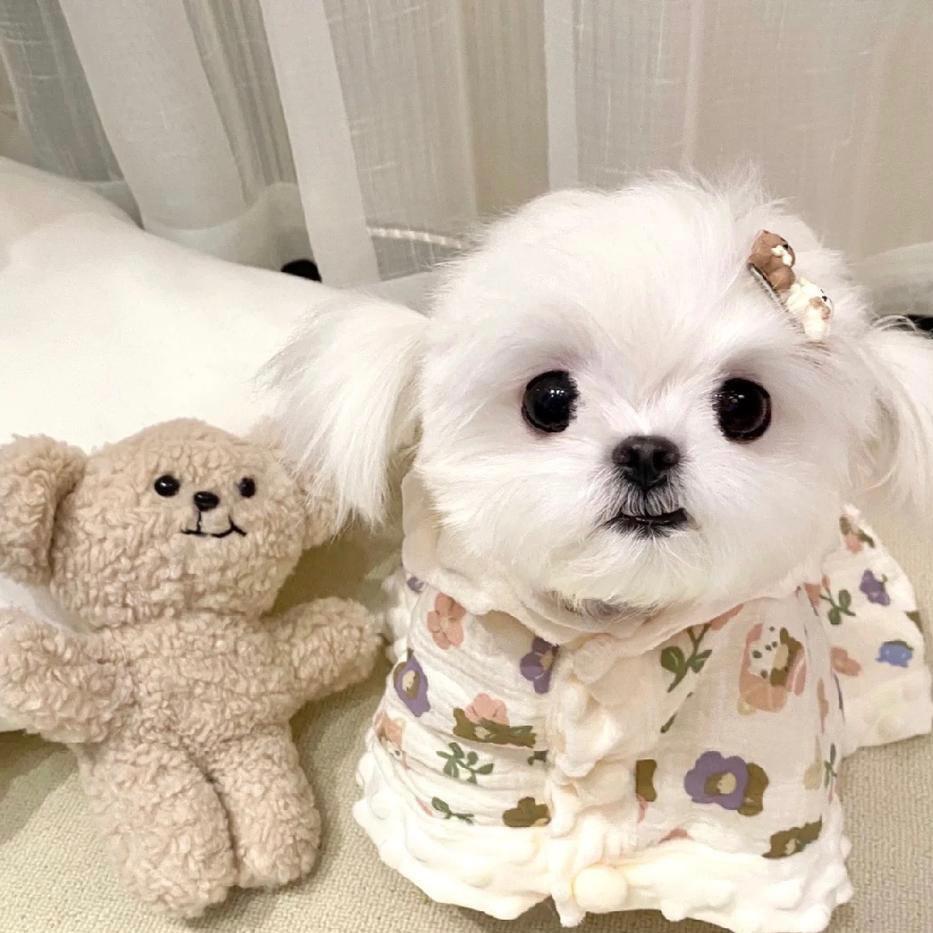 曾淑女