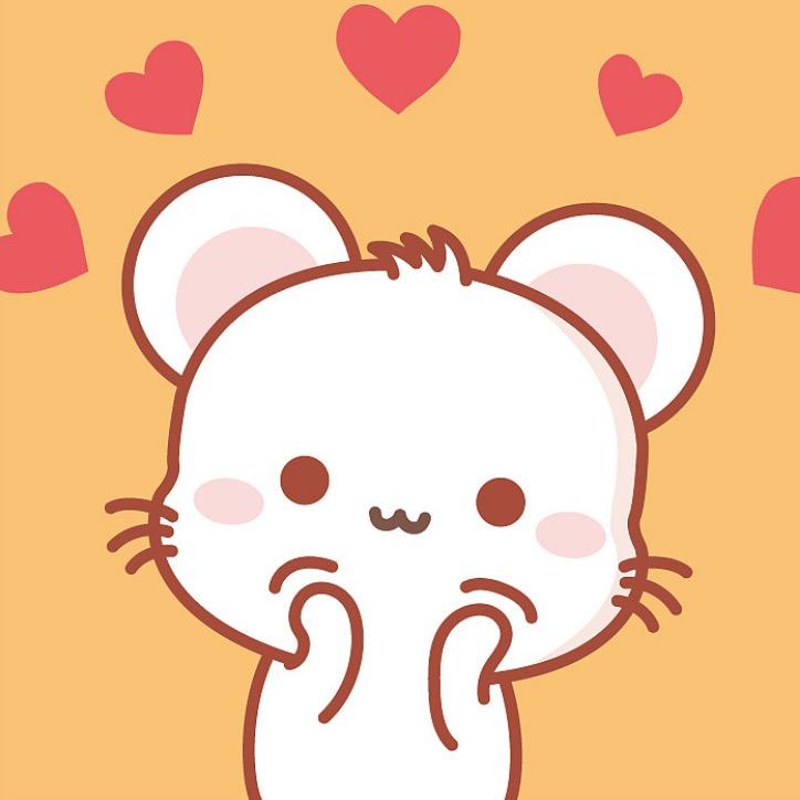 呆萌鼠🐭