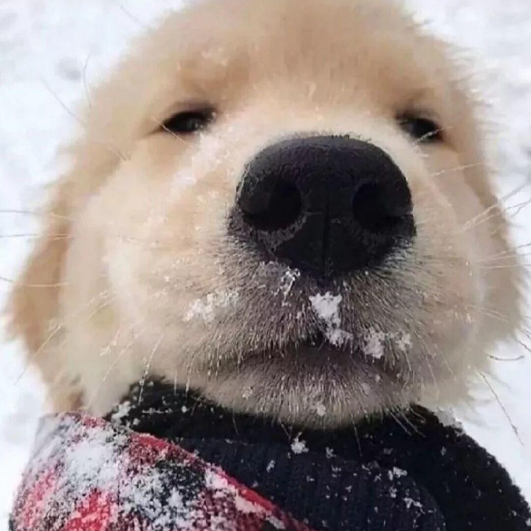 小小彦