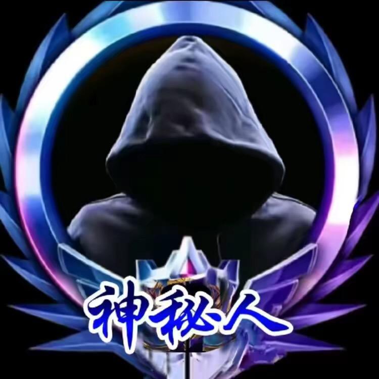 VIP 神秘人