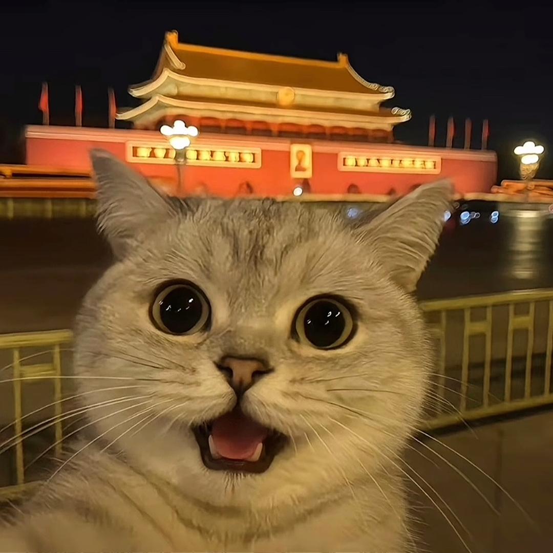 马尾世界江湾小涛