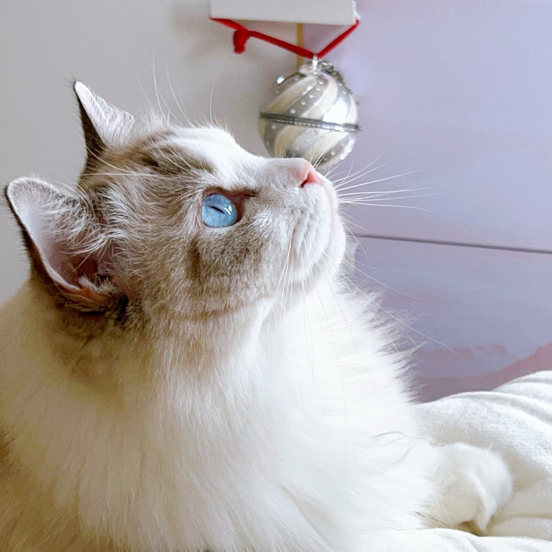 🐱冬冬🦁.𝑠𝑚