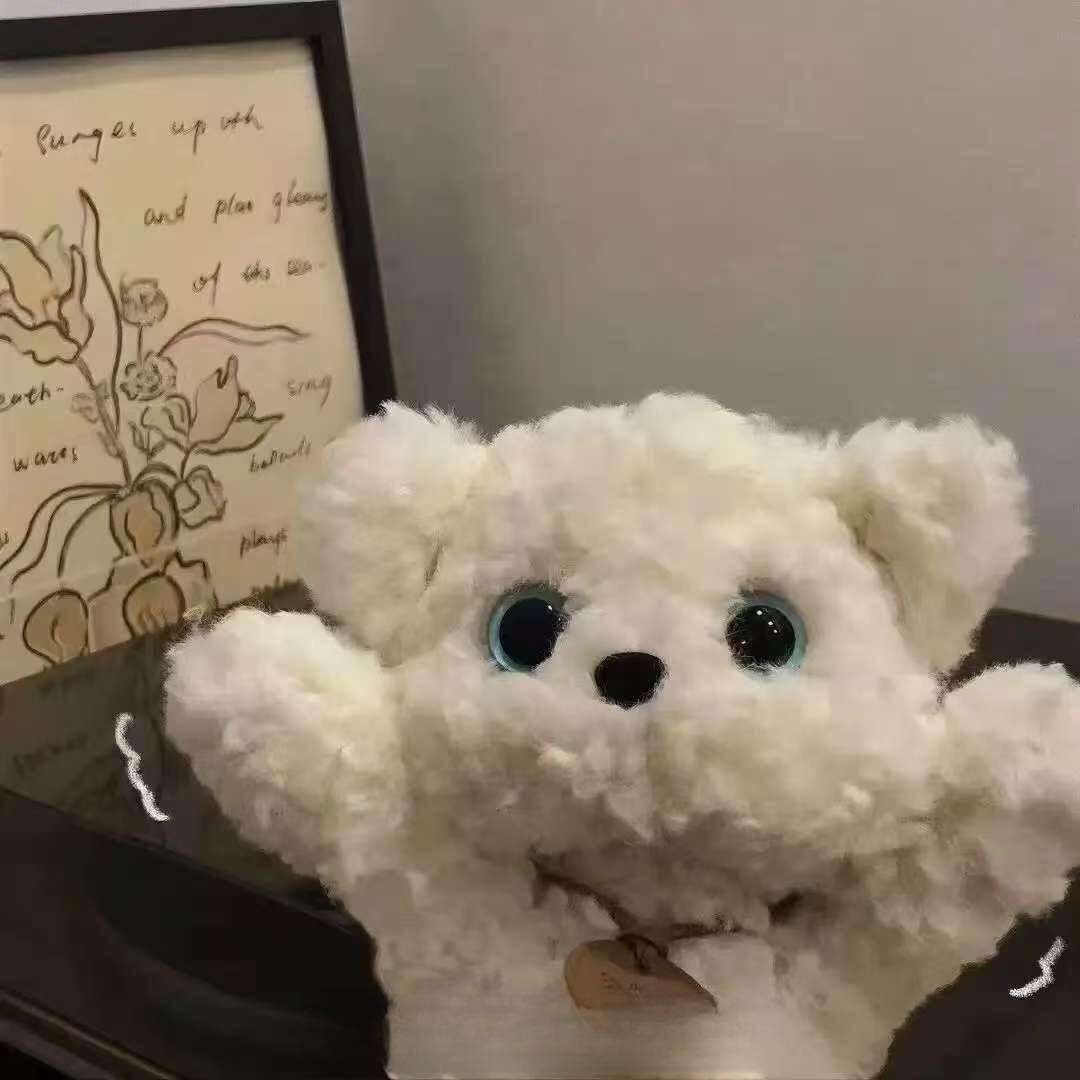 🐰