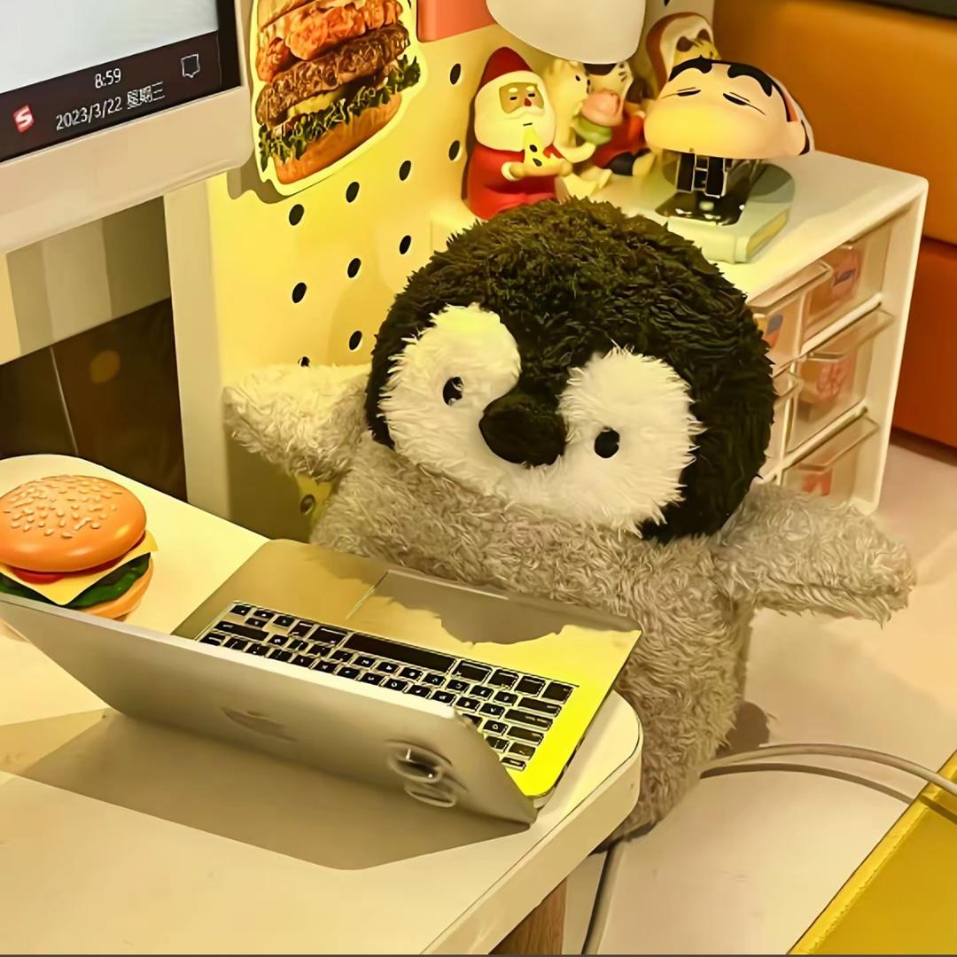 在播什么歌