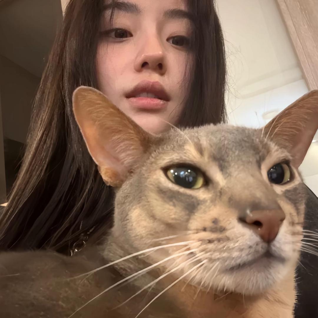 橘子的橘.