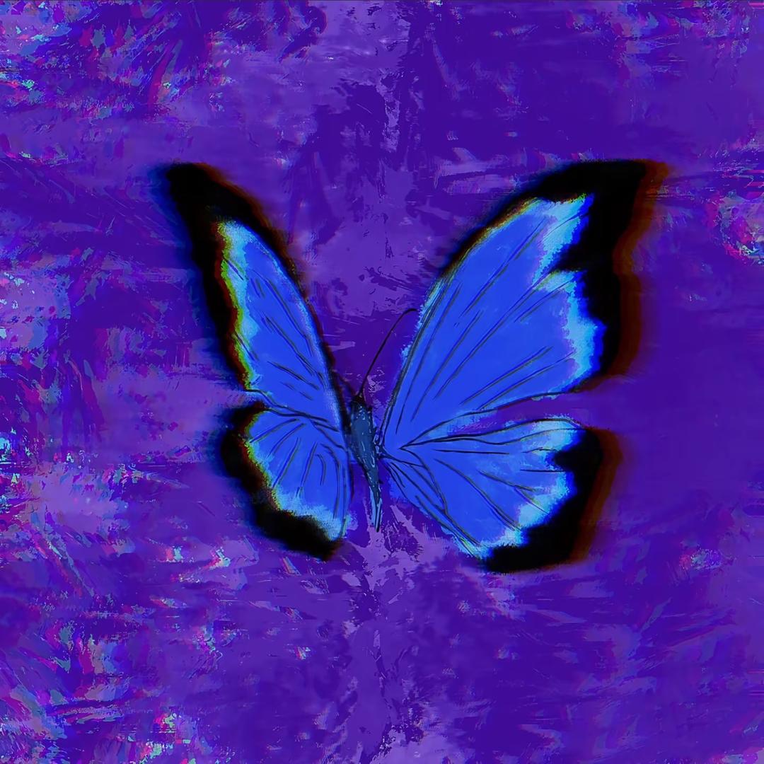 泰A辣