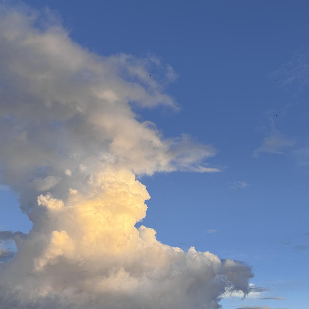 广州良熙商贸创意屋