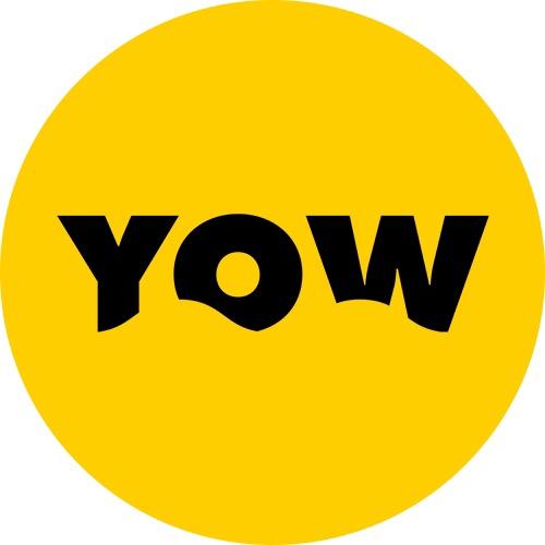 YOW陆地冲浪板