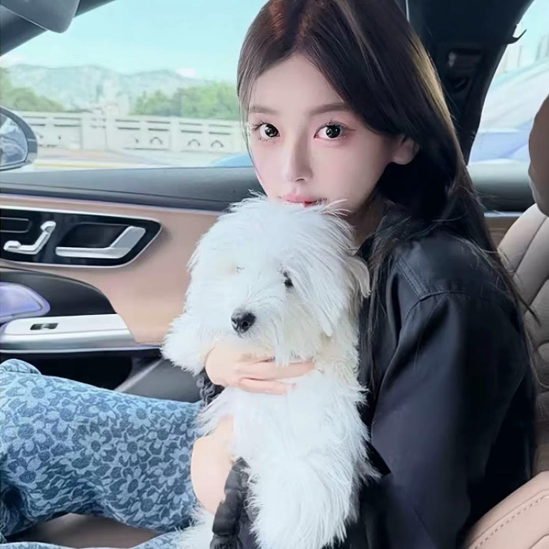 歪歪