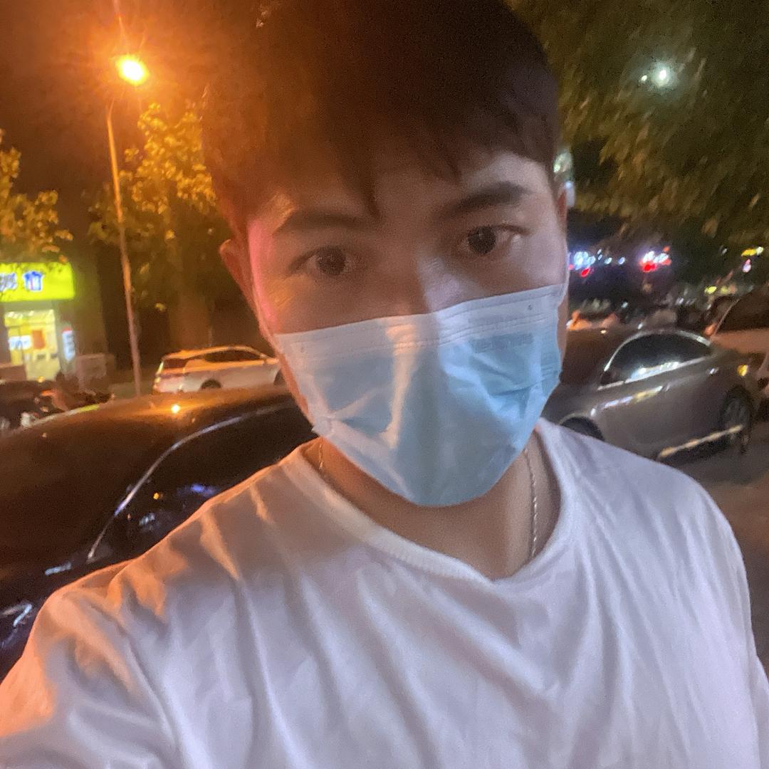 三岔路口的猫
