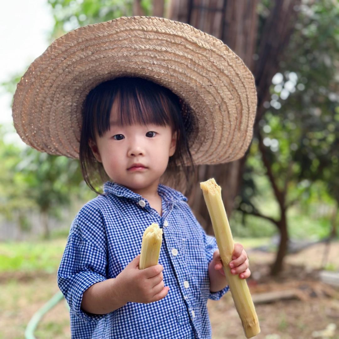 潮汕人在南美