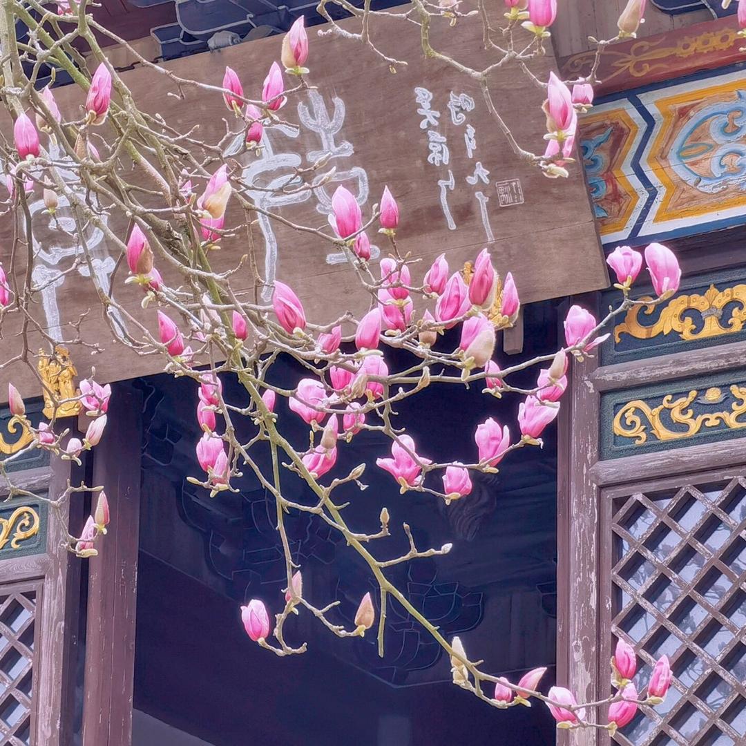 岳麓山无问