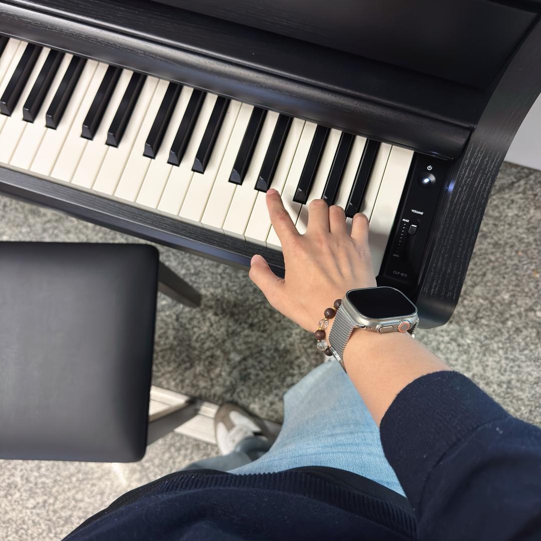 蚊子大王