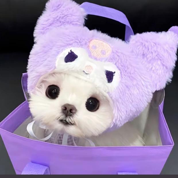 咸鱼的闲（朋友圈版）