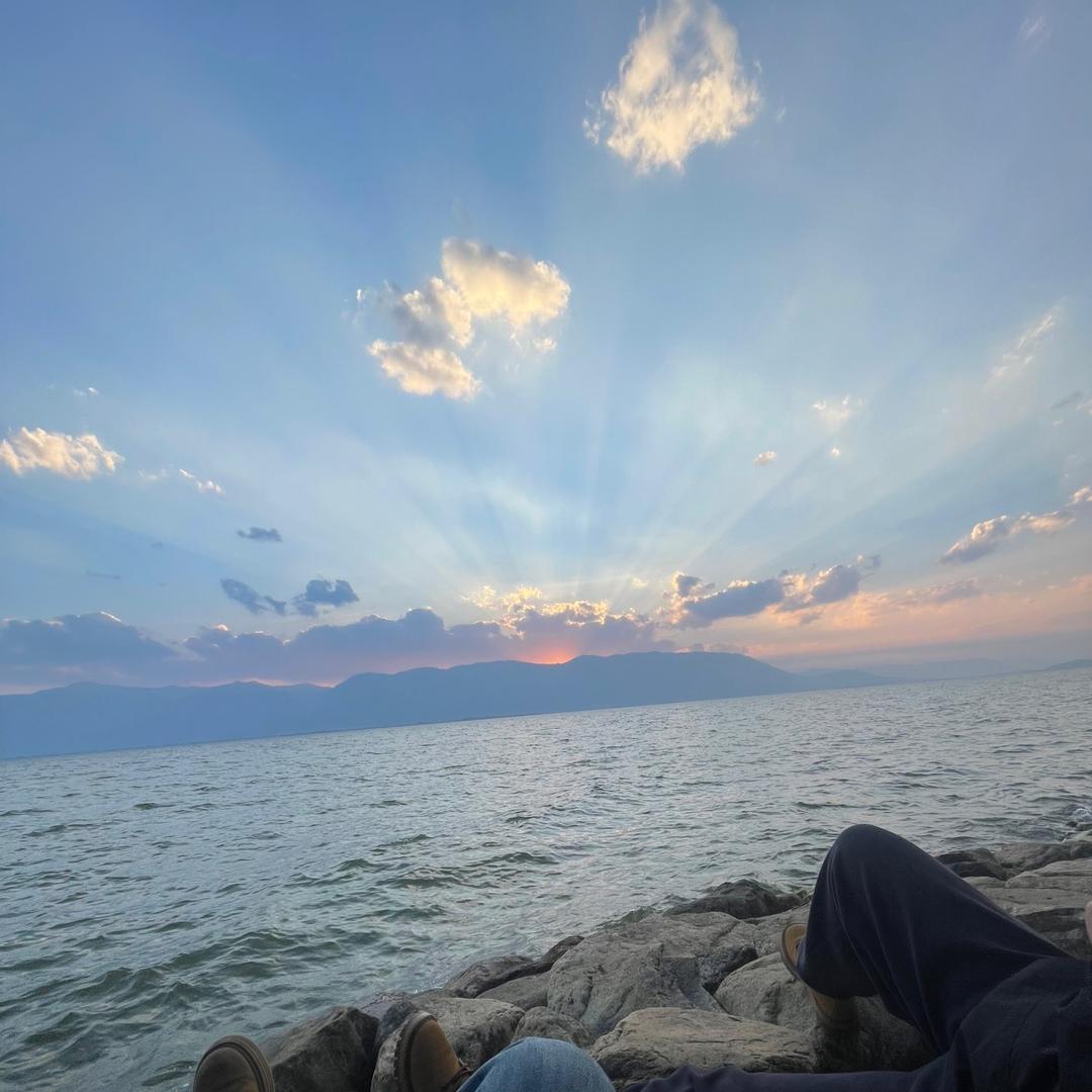 想去流浪