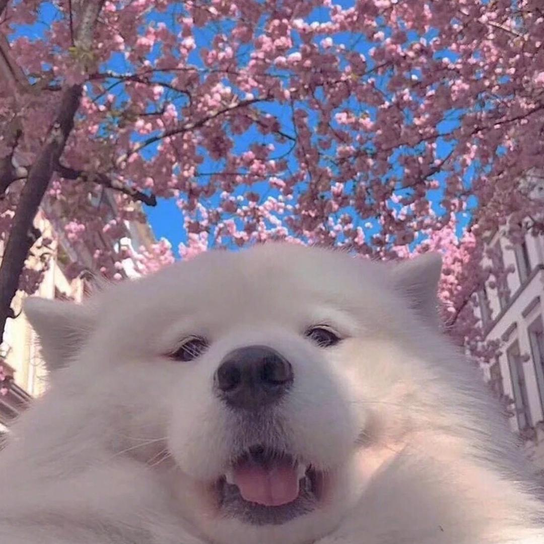嘿嘿嘿