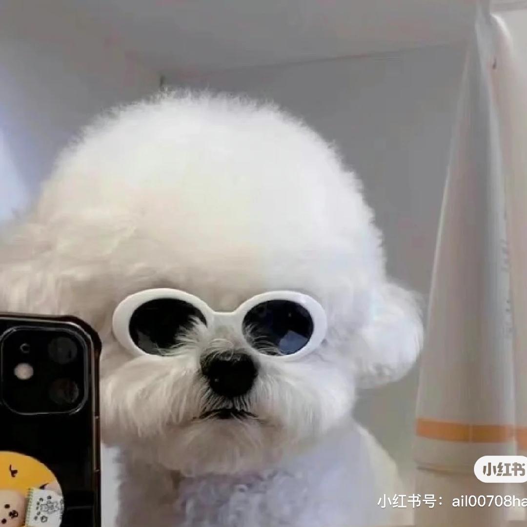 今天又睡过头了
