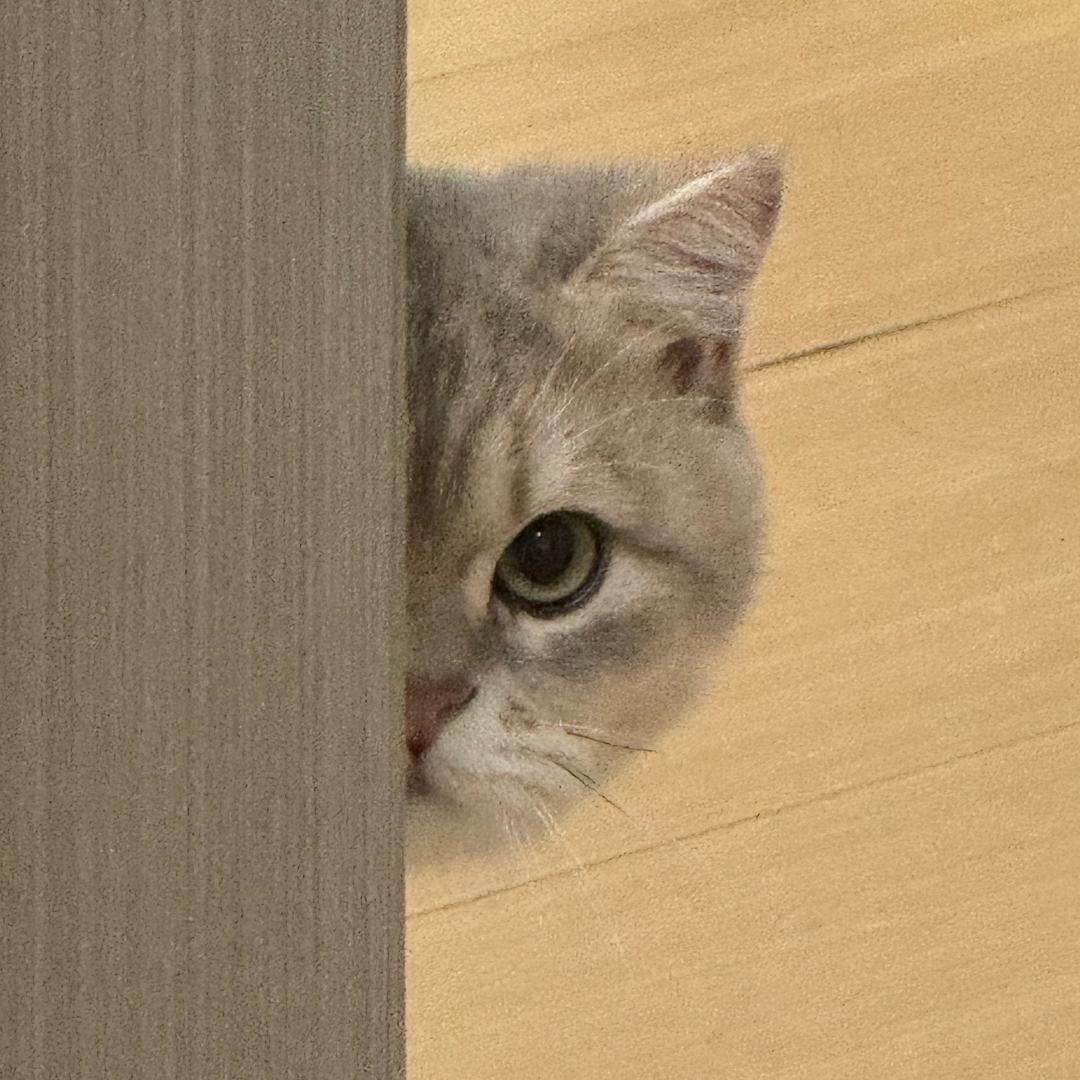 王大可不乐-（糖豆电竞）