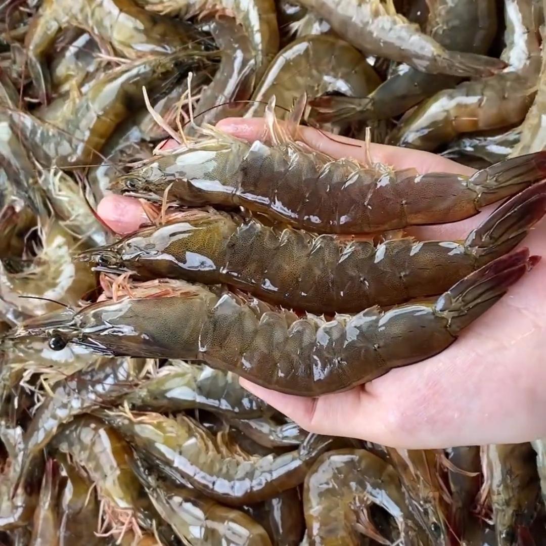 玲姐海鲜