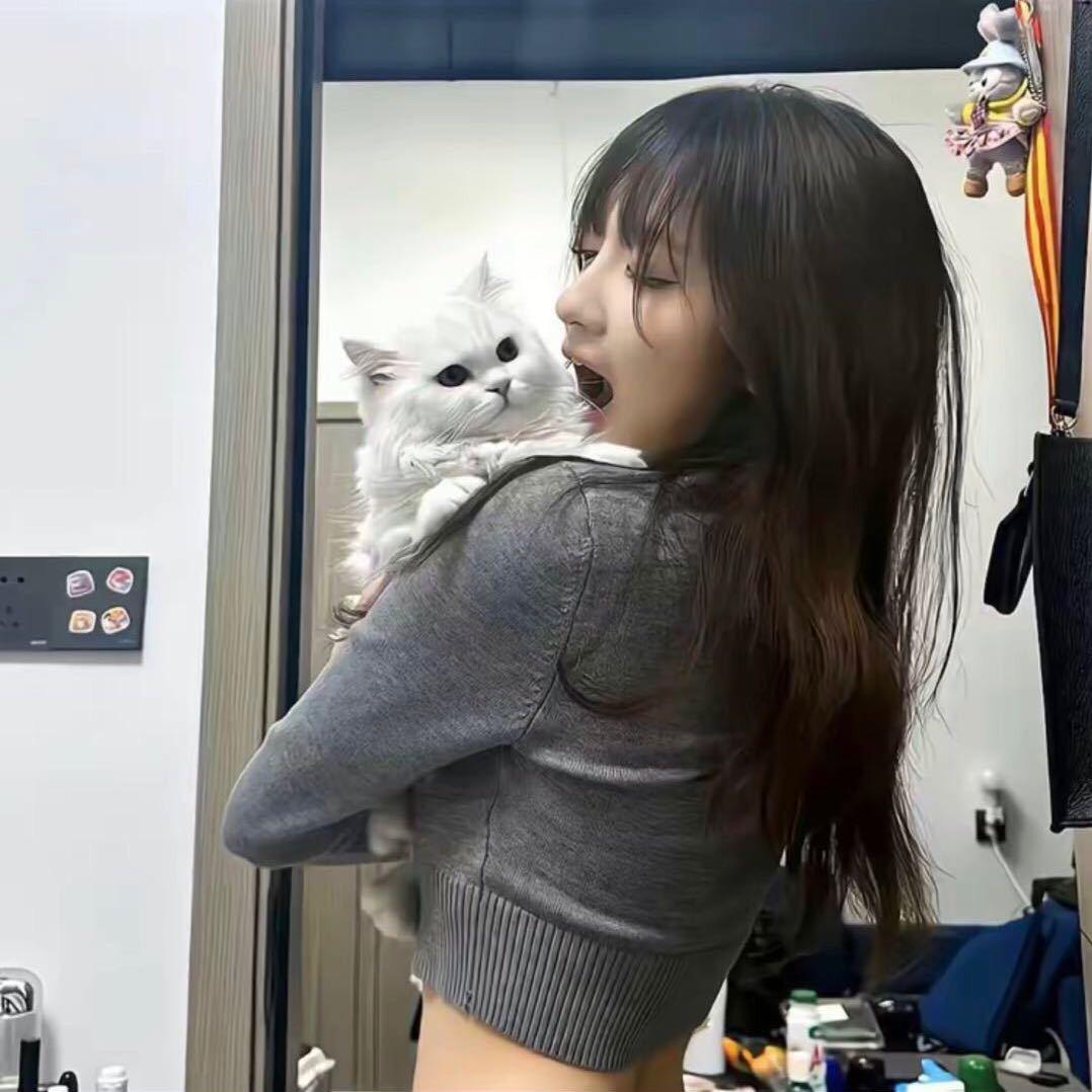 诫.