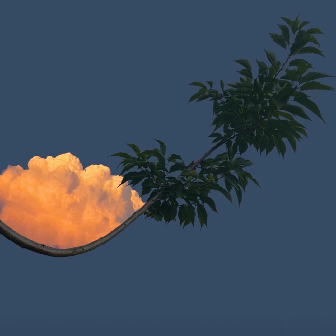 两个轮子供应链