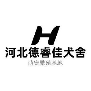 河北德睿佳犬舍～刘Sir