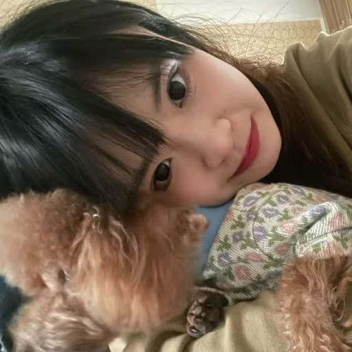 开心八蛋